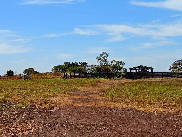 Venda em  - Jangada